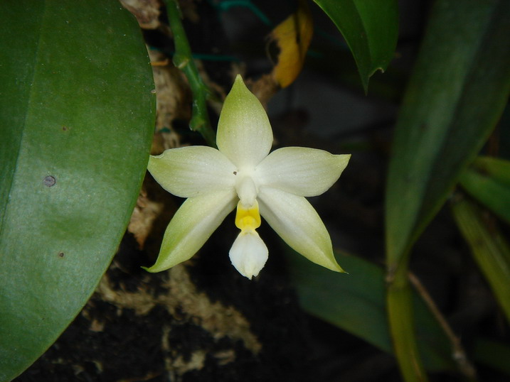 «ö¦¹¦b·sµøµ¡ÂsÄý¹Ï¤ù