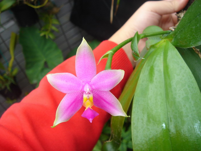 «ö¦¹¦b·sµøµ¡ÂsÄý¹Ï¤ù