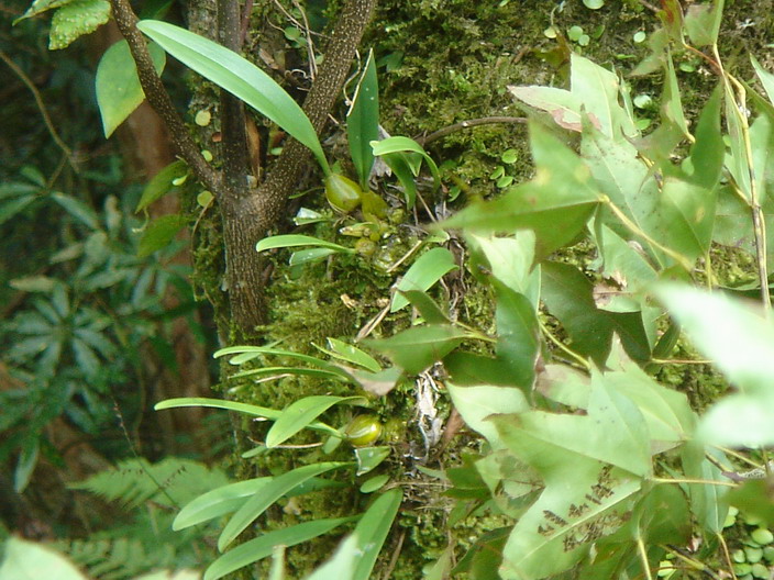 «ö¦¹¦b·sµøµ¡ÂsÄý¹Ï¤ù