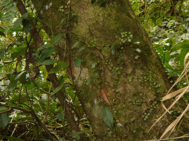 «ö¦¹¦b·sµøµ¡ÂsÄý¹Ï¤ù