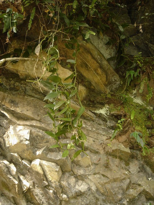 «ö¦¹¦b·sµøµ¡ÂsÄý¹Ï¤ù