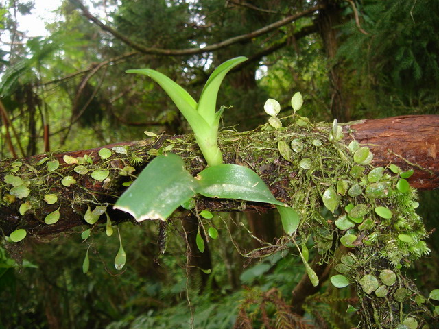 «ö¦¹¦b·sµøµ¡ÂsÄý¹Ï¤ù