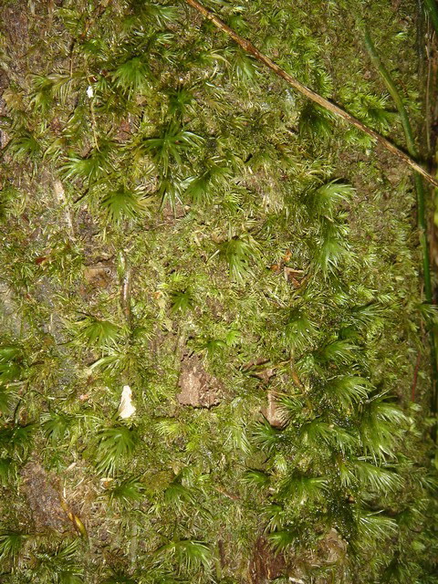 «ö¦¹¦b·sµøµ¡ÂsÄý¹Ï¤ù