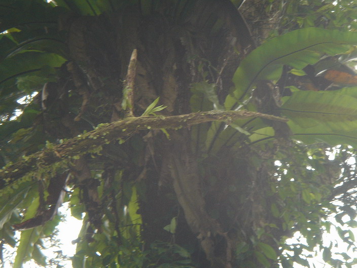 «ö¦¹¦b·sµøµ¡ÂsÄý¹Ï¤ù