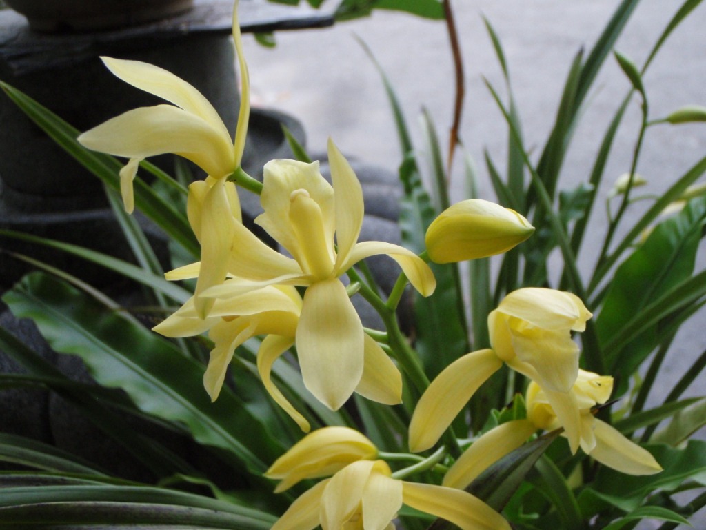 «ö¦¹¦b·sµøµ¡ÂsÄý¹Ï¤ù