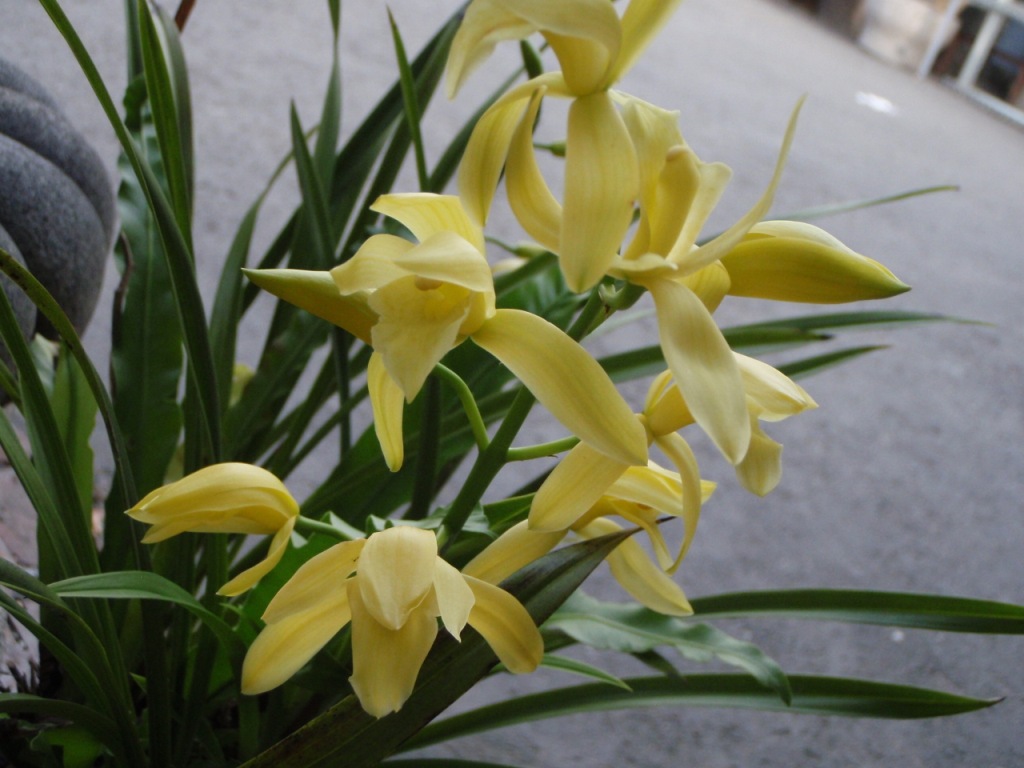 «ö¦¹¦b·sµøµ¡ÂsÄý¹Ï¤ù