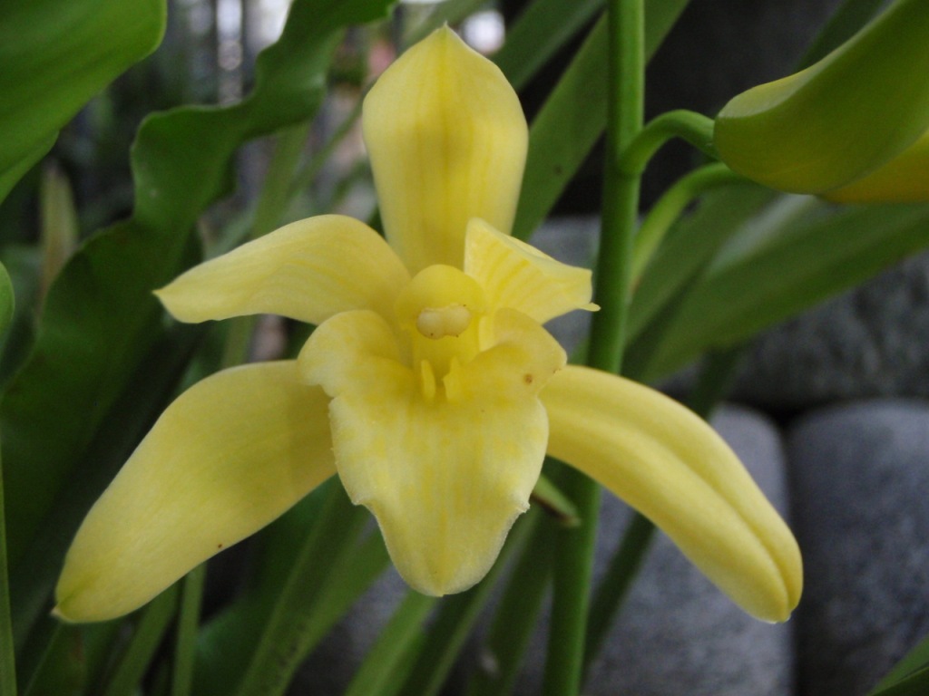 «ö¦¹¦b·sµøµ¡ÂsÄý¹Ï¤ù