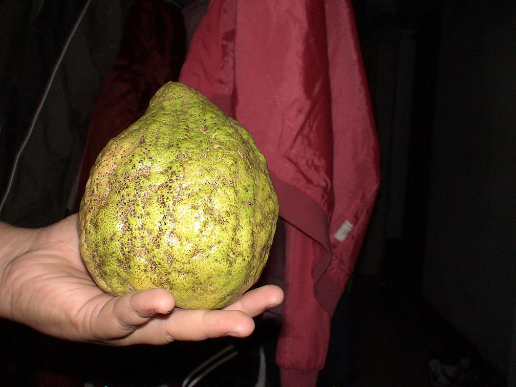 «ö¦¹¦b·sµøµ¡ÂsÄý¹Ï¤ù