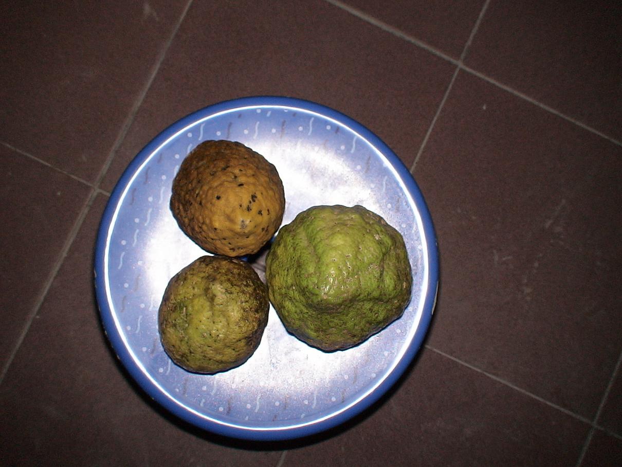 «ö¦¹¦b·sµøµ¡ÂsÄý¹Ï¤ù