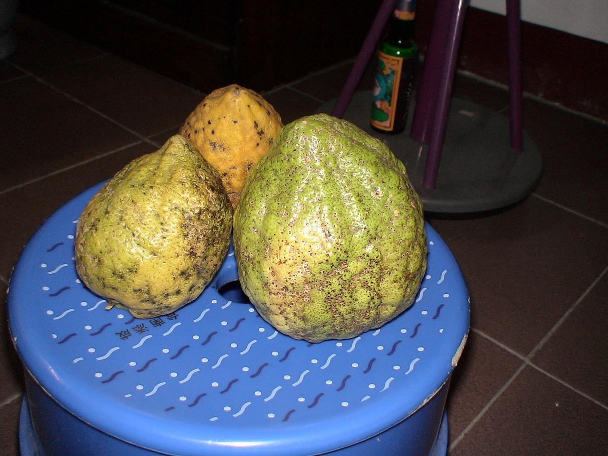 «ö¦¹¦b·sµøµ¡ÂsÄý¹Ï¤ù