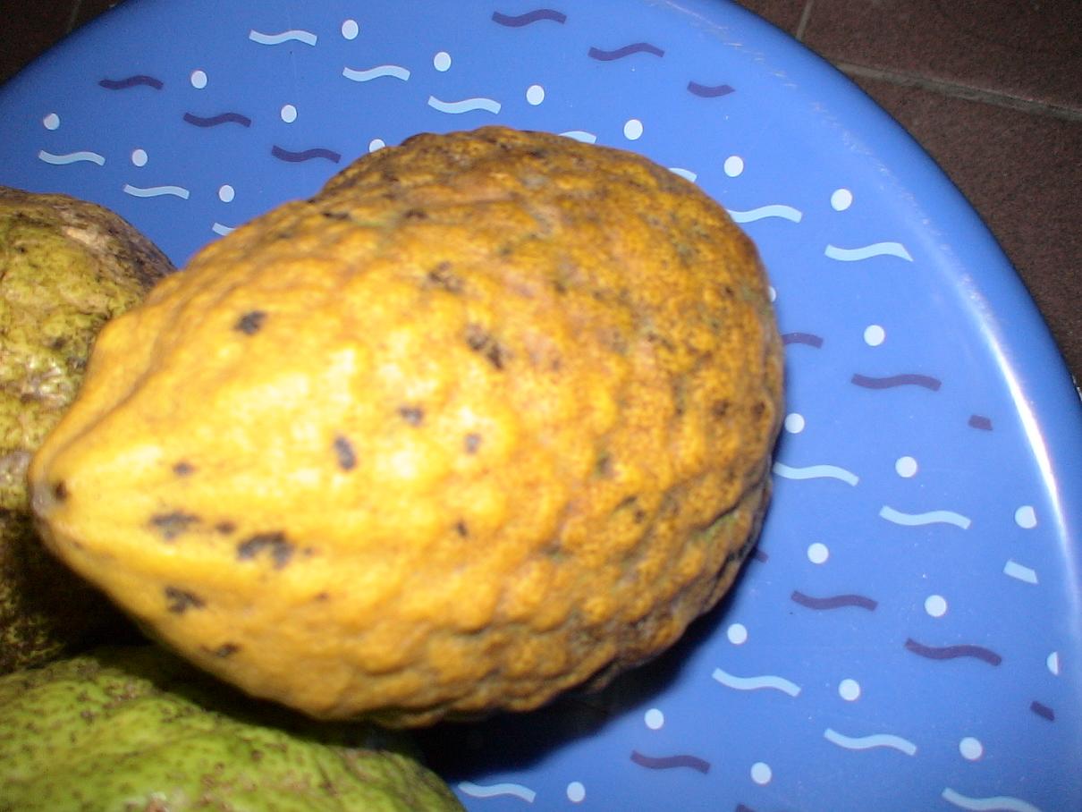 «ö¦¹¦b·sµøµ¡ÂsÄý¹Ï¤ù