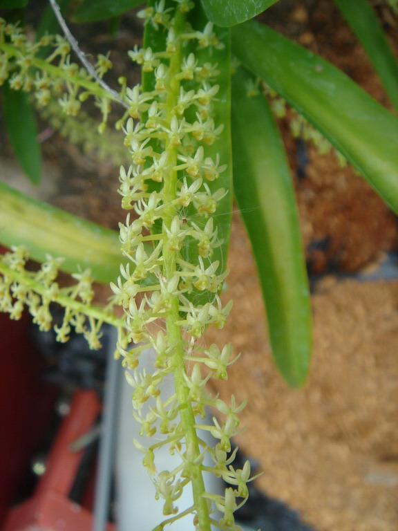 «ö¦¹¦b·sµøµ¡ÂsÄý¹Ï¤ù