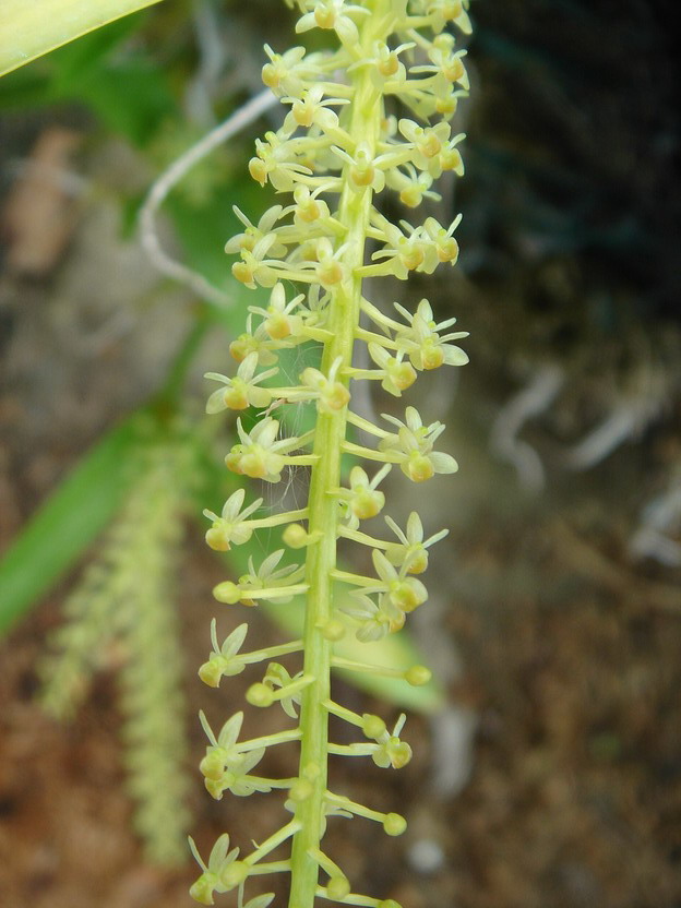 «ö¦¹¦b·sµøµ¡ÂsÄý¹Ï¤ù