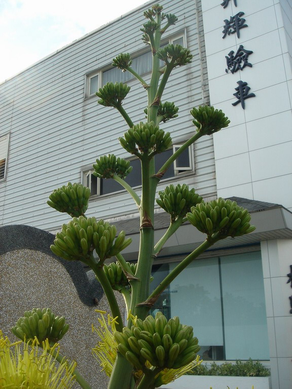 «ö¦¹¦b·sµøµ¡ÂsÄý¹Ï¤ù