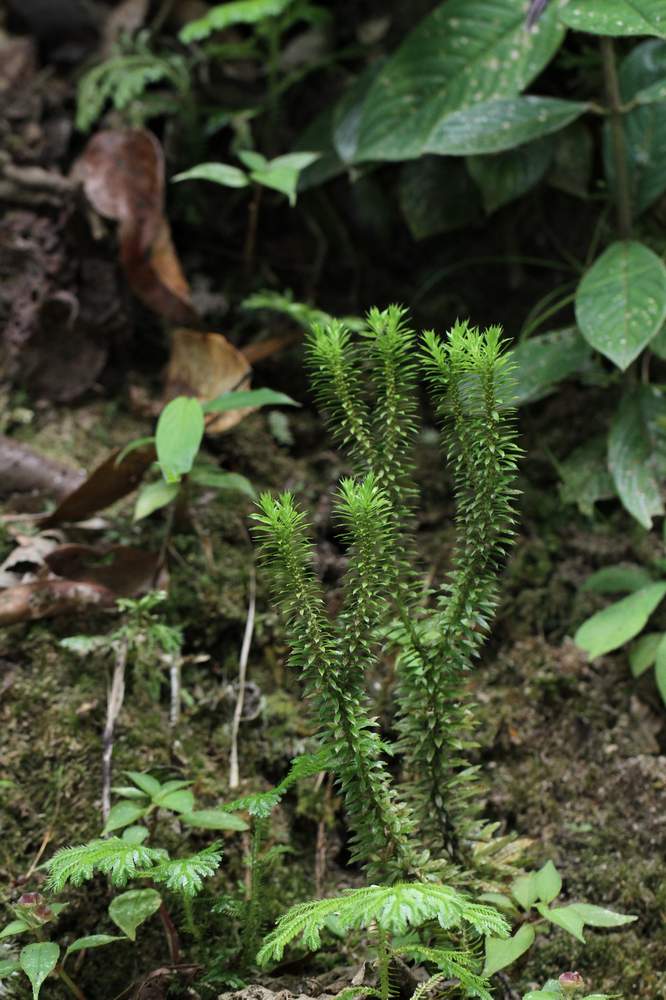 «ö¦¹¦b·sµøµ¡ÂsÄý¹Ï¤ù