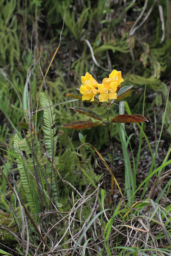 «ö¦¹¦b·sµøµ¡ÂsÄý¹Ï¤ù