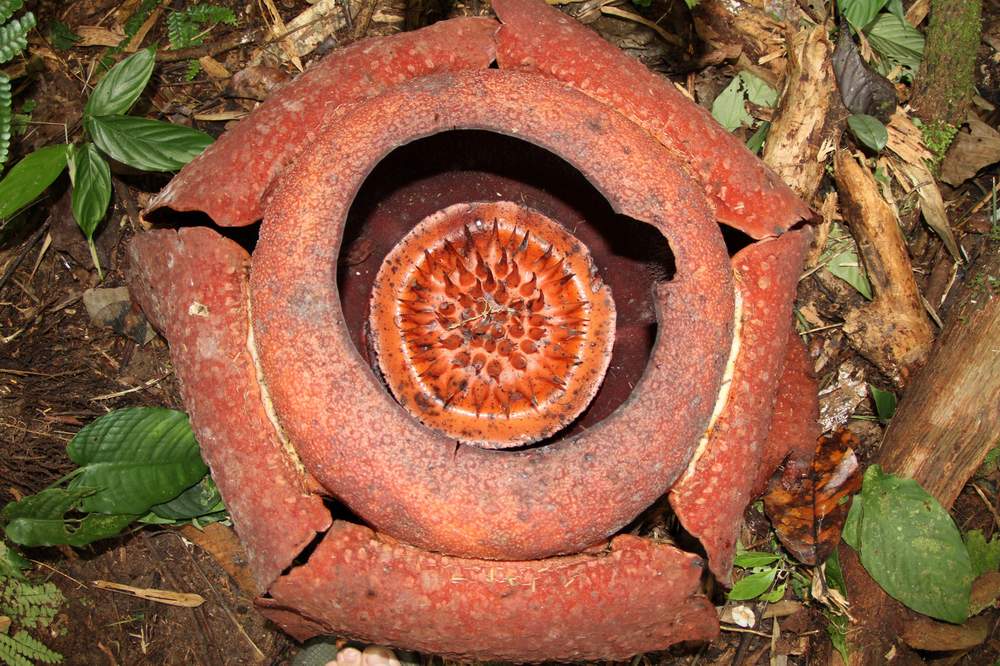 «ö¦¹¦b·sµøµ¡ÂsÄý¹Ï¤ù