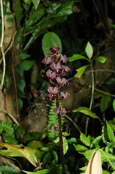 «ö¦¹¦b·sµøµ¡ÂsÄý¹Ï¤ù