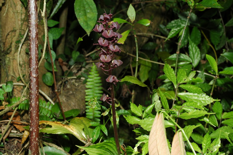 «ö¦¹¦b·sµøµ¡ÂsÄý¹Ï¤ù