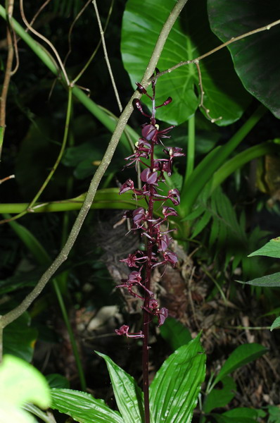 «ö¦¹¦b·sµøµ¡ÂsÄý¹Ï¤ù