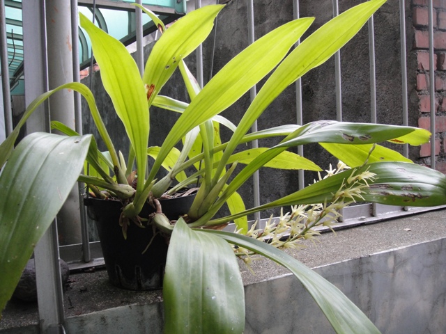 «ö¦¹¦b·sµøµ¡ÂsÄý¹Ï¤ù