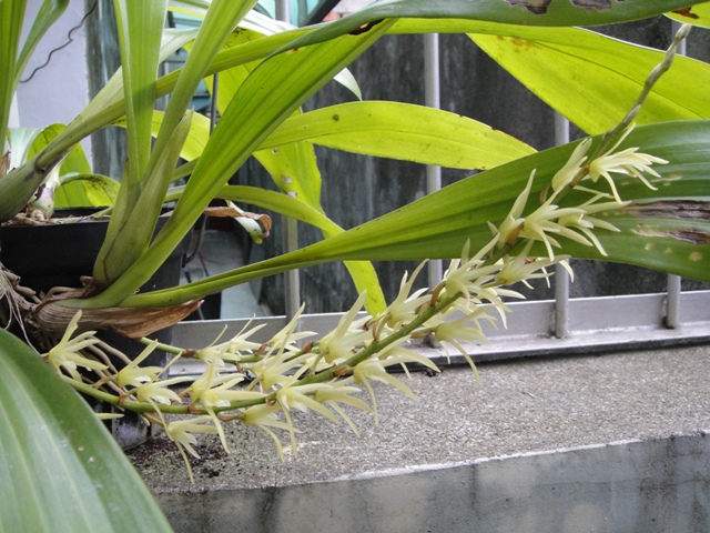 «ö¦¹¦b·sµøµ¡ÂsÄý¹Ï¤ù