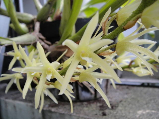 «ö¦¹¦b·sµøµ¡ÂsÄý¹Ï¤ù