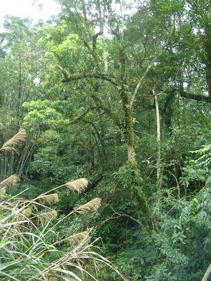 «ö¦¹¦b·sµøµ¡ÂsÄý¹Ï¤ù