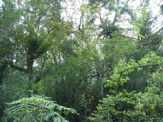 «ö¦¹¦b·sµøµ¡ÂsÄý¹Ï¤ù