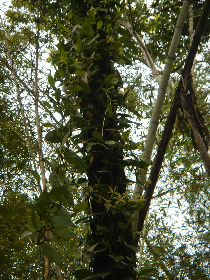 «ö¦¹¦b·sµøµ¡ÂsÄý¹Ï¤ù