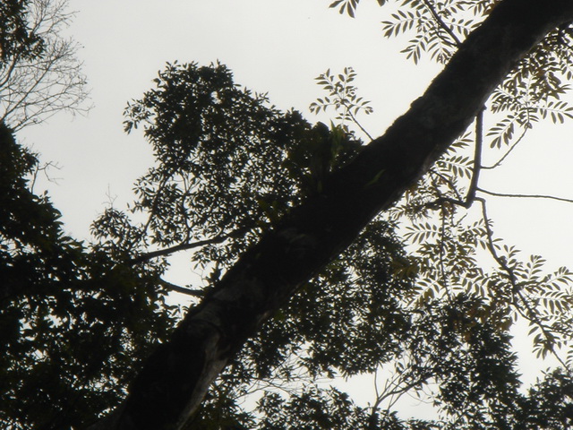 «ö¦¹¦b·sµøµ¡ÂsÄý¹Ï¤ù