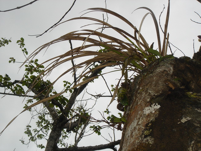 «ö¦¹¦b·sµøµ¡ÂsÄý¹Ï¤ù