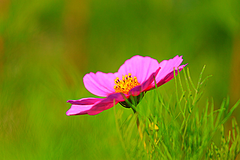 «ö¦¹¦b·sµøµ¡ÂsÄý¹Ï¤ù