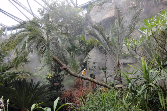 «ö¦¹¦b·sµøµ¡ÂsÄý¹Ï¤ù