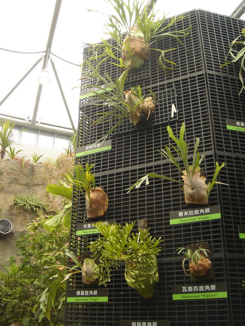 «ö¦¹¦b·sµøµ¡ÂsÄý¹Ï¤ù