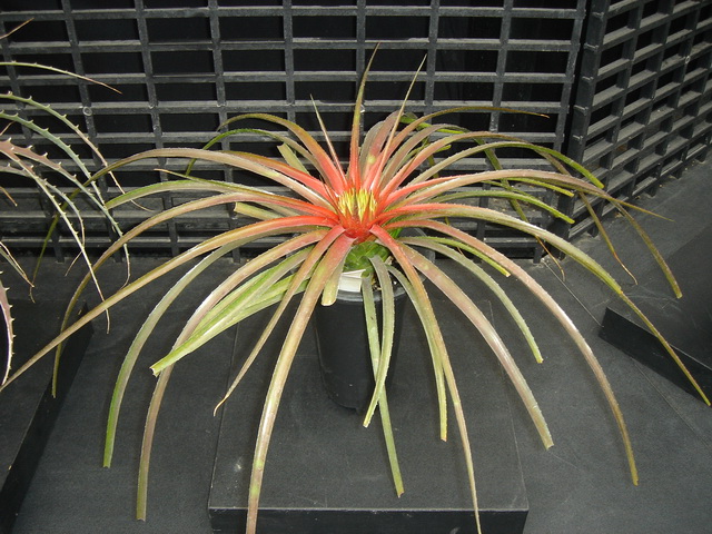 «ö¦¹¦b·sµøµ¡ÂsÄý¹Ï¤ù