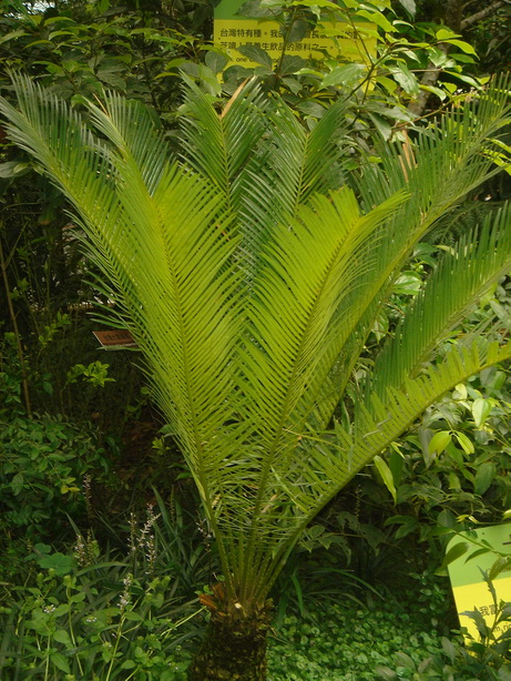 «ö¦¹¦b·sµøµ¡ÂsÄý¹Ï¤ù