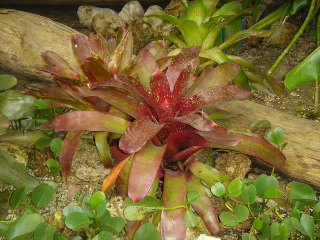 «ö¦¹¦b·sµøµ¡ÂsÄý¹Ï¤ù