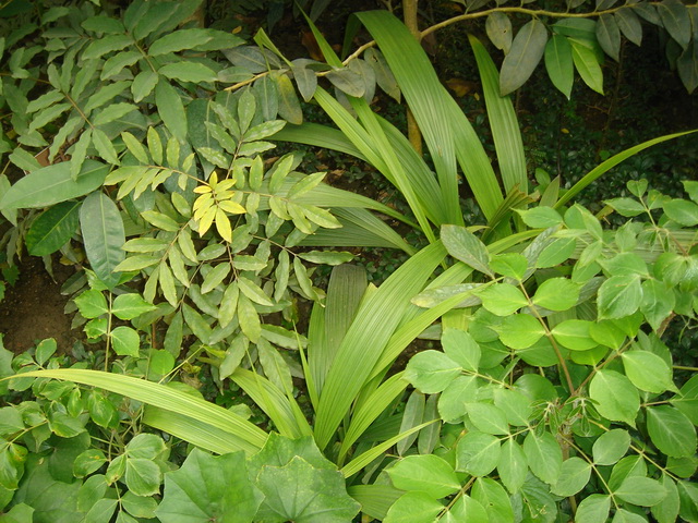 «ö¦¹¦b·sµøµ¡ÂsÄý¹Ï¤ù