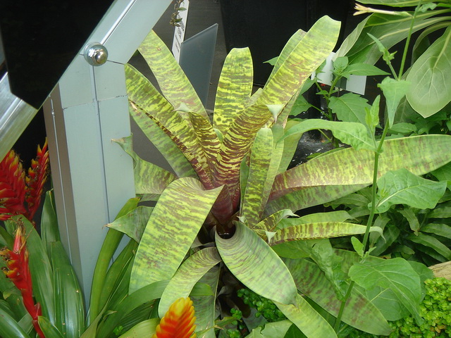 «ö¦¹¦b·sµøµ¡ÂsÄý¹Ï¤ù