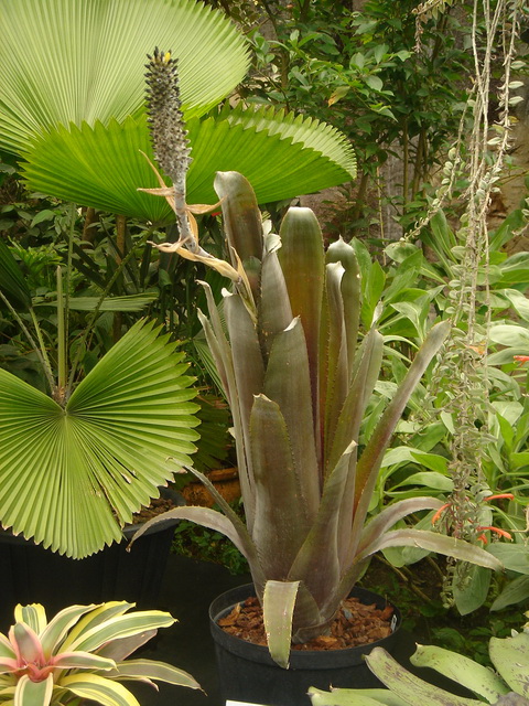 «ö¦¹¦b·sµøµ¡ÂsÄý¹Ï¤ù