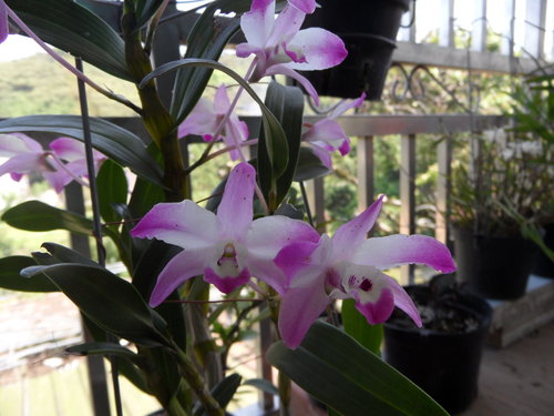 «ö¦¹¦b·sµøµ¡ÂsÄý¹Ï¤ù