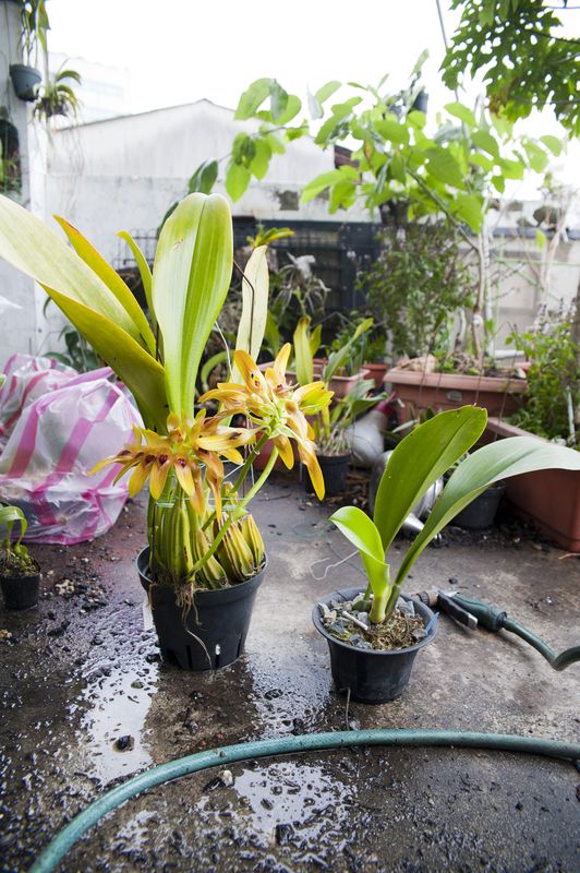 «ö¦¹¦b·sµøµ¡ÂsÄý¹Ï¤ù