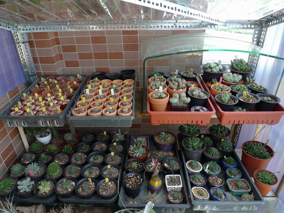 «ö¦¹¦b·sµøµ¡ÂsÄý¹Ï¤ù