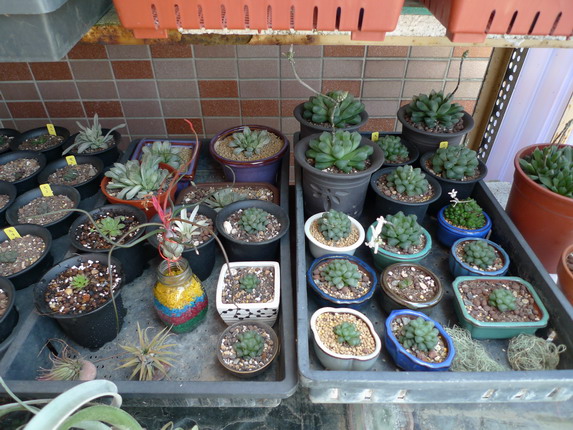 «ö¦¹¦b·sµøµ¡ÂsÄý¹Ï¤ù