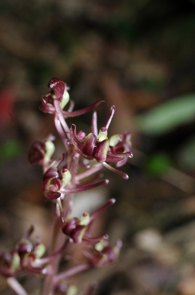 «ö¦¹¦b·sµøµ¡ÂsÄý¹Ï¤ù