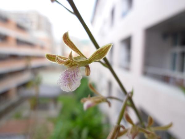 «ö¦¹¦b·sµøµ¡ÂsÄý¹Ï¤ù