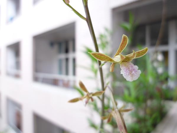 «ö¦¹¦b·sµøµ¡ÂsÄý¹Ï¤ù