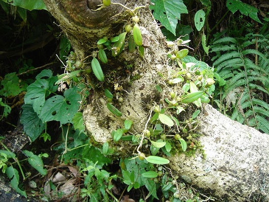 «ö¦¹¦b·sµøµ¡ÂsÄý¹Ï¤ù