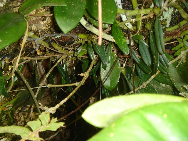 «ö¦¹¦b·sµøµ¡ÂsÄý¹Ï¤ù